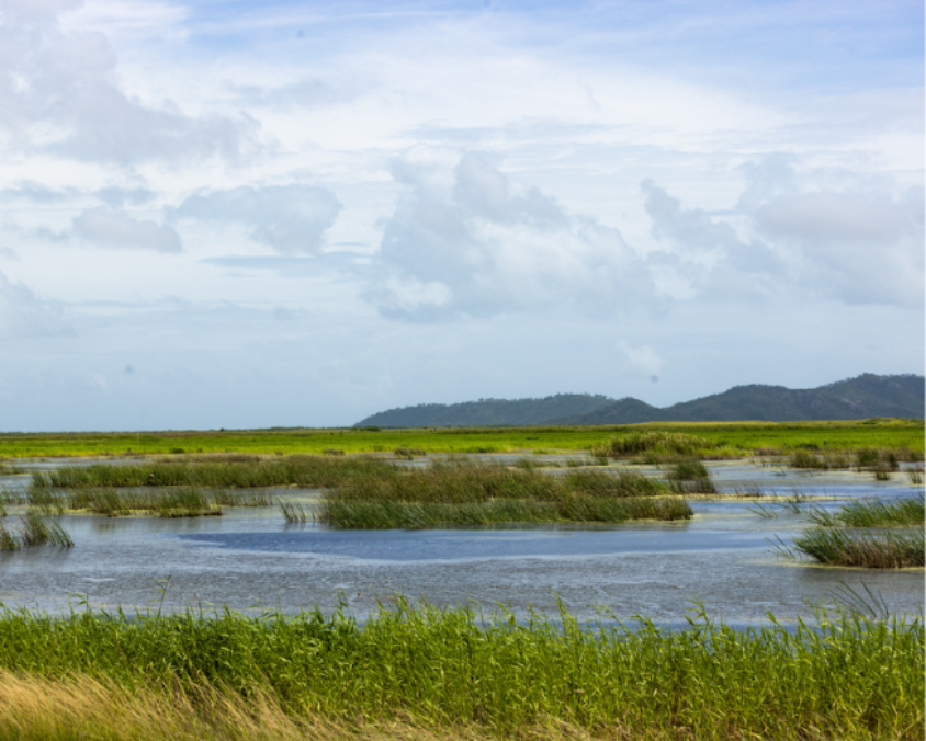 A wetland ecosystem with grassy islands and water bodies under a partly cloudy sky, illustrating natural habitat diversity and landscape conservation.